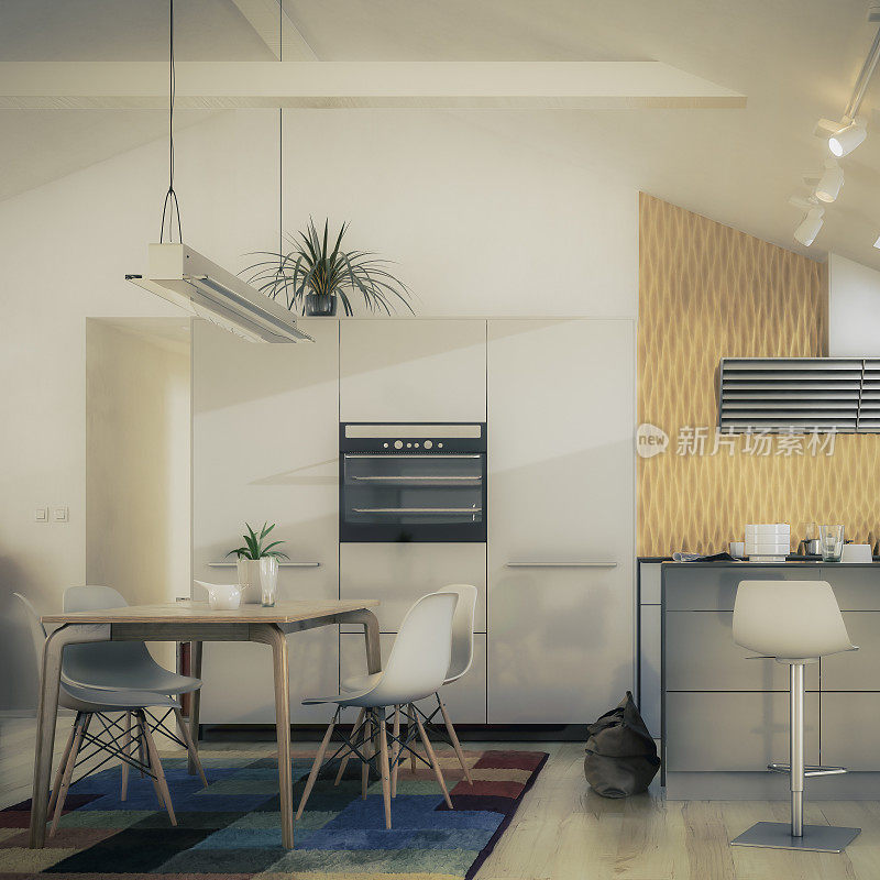 宽敞的厨房适应阁楼转换- 3D可视化